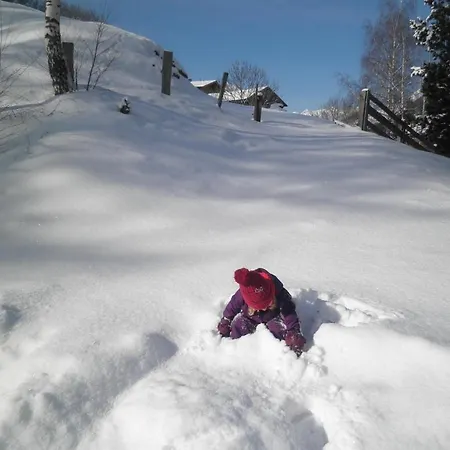 Gaesteheim Poetscher Matrei in Osttirol