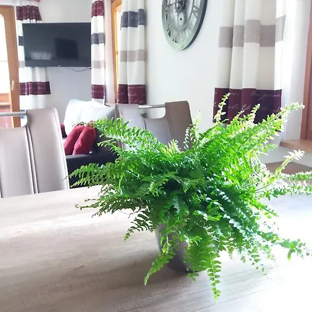 Pensión Gaesteheim Poetscher