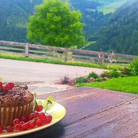 Gaesteheim Poetscher Matrei in Osttirol