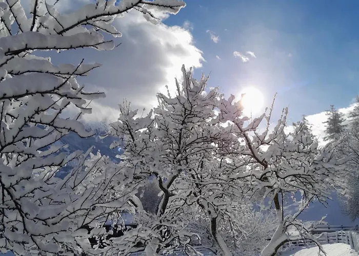 Gaesteheim Poetscher ゲストハウス 3*